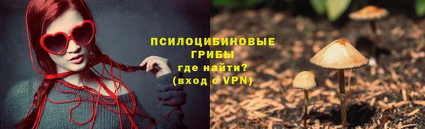 твердый Михайловск