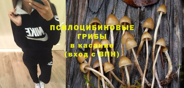 твердый Михайловск