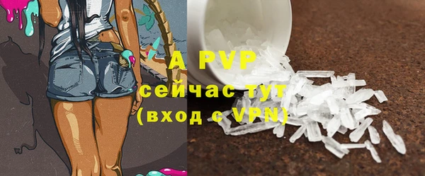 стаф Михайлов