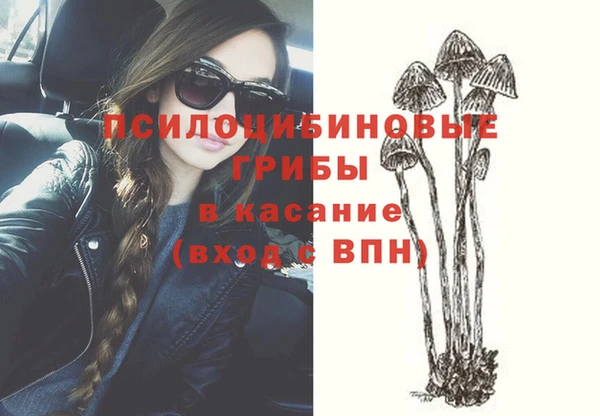 стаф Михайлов