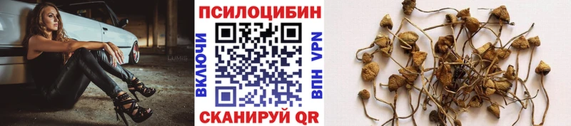 Галлюциногенные грибы прущие грибы  где купить наркоту  Жуков 